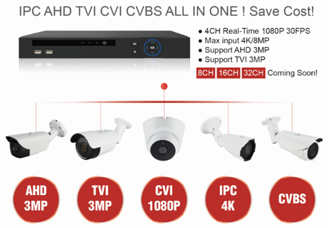 IP NVR KIT OEM